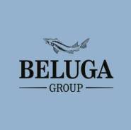 . Beluga Group.  100-  155 . 1 