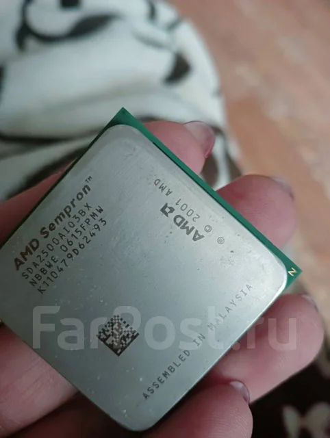 AMD Sempron ����