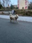 ���������� ������/����������� ����. ����