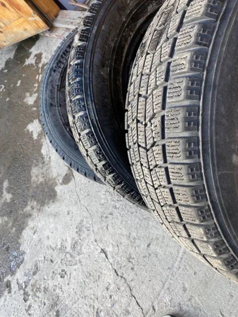 NorthTrek. ������, ��� �����, 2018 ���, �/�, ����� 5 % ����
