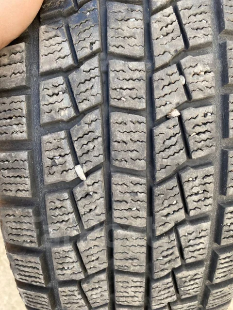 NorthTrek. ������, ��� �����, 2018 ���, �/�, ����� 5 % ����