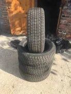 NorthTrek N2. ������, ��� �����, 2019 ���, �/�, ����� 5 % ����