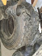 Annaite 309. �����������, 2022 ���, ����� ����