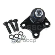 ������ ����������� �������� / ����������� ������ Ossca ���. 00174 00174 ����