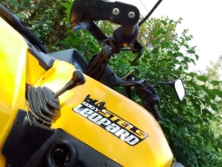 Stels Leopard 600Y. ��������, ��, �� ����