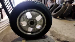 Tigar CargoSpeed Winter. ������, ��� �����, 2020 ���, ����� ����