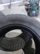 Bridgestone Blizzak DM-Z2. ������, ��� �����, 2021 ���, �/�, ����� �� 5 % ����