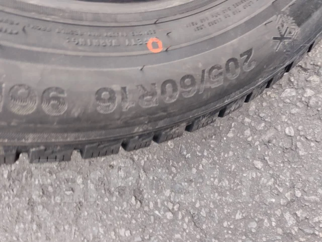 Triangle Snowlink PL01. ������, ��� �����, 2026 ���, ����� ����