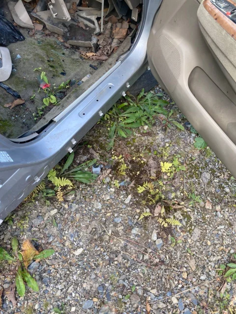 Honda Odyssey ����