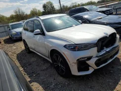 BMW X7 ����