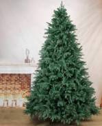 ���� �������������. ����