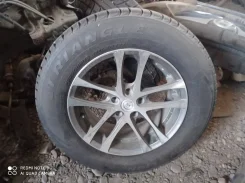 Triangle Snow Lion TR777. ������, ��� �����, �/�, ����� 5 % ����