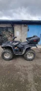 Yamaha Grizzly 700. ��������, ��, �� ����