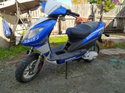 Irbis FR. 80����. ��., ����������, ��� ���, ������ �� �� ����