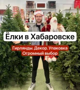 ���� �������������. ����