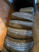 Pirelli P2500 Euro. �����������, �/�, ����� 60 % ����