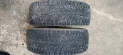 Gislaved Soft Frost 3. ������, ��� �����, �/�, ����� 60 % ����