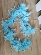 �����. ����