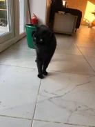 �����. ����