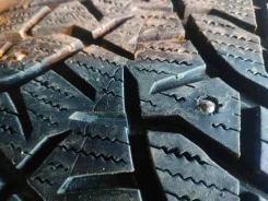 Bridgestone Blizzak DM-V1. ������, ����������, 2019 ���, �/�, ����� 10 % ����