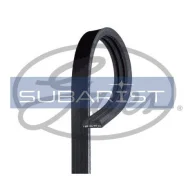 ������ 3PK 0790 Stretch Fit Gates 3PK790SF (����� Mazda Axela BM5AP, BM5AS, BM5FP, BM5FS, Demio Dejfs, DJ3AS, DJ3FS, Djlas, Djlfs, ) 3PK790SF 3PK790SF...