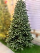 ����. ����