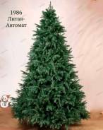 ���� �������������. ����