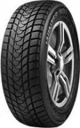 Delinte Winter WD1