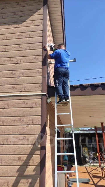 ����������� �����������. ����