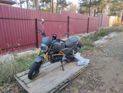 Motoland Scrambler 250. 250����. ��., ��������, ���������, ������ �� �� ����