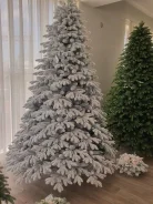 ����. ����