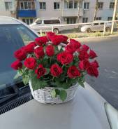 �����. ����