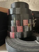������ ��������� 8PK 1537 8PK1537 ����