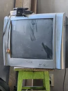 ������ ����