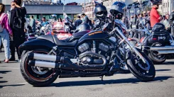 Harley-Davidson V-Rod. 1 130����. ��., ��������, ���������, ������ �� �� ����