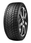 Delinte Winter WD6