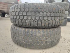Bridgestone Winter Radial WT-14. ������, ����������, �/�, ����� 30 % ����