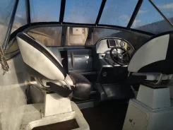 Grizzly 580 Cruiser. 2010 ���, ����� 5,8��., ��������� ���������, 115��.�., ������ ����