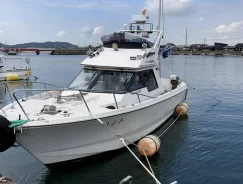 Yamaha FR-34. 1998 ���, ����� 11��., ��������� ������������, 380��.�., ������. ��� ����� �� ������������ ����