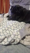 ������. ����