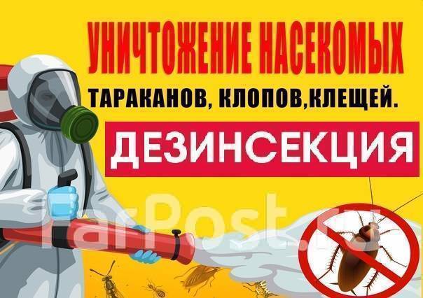 дезинфектор на дом. обработка от тараканов клопов. травить травка блох .... подать объявление. частные объявления и пред