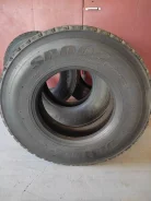 Dunlop Dectes SP002. ������, ��� �����, 2020 ���, �/�, ����� 40 % ����