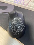 ���� ������������. ����