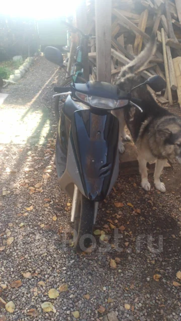 Honda Dio AF28. 49����. ��., ��������, ���������, ������ �� �� ����