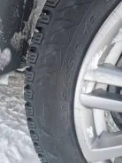 Pirelli Winter Ice Sport. ������, ����������, 2020 ���, �/�, ����� 10 % ����