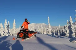 BRP Lynx Xterrain Brutal. ��������, ��, �� ����