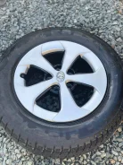 Presa PI02. ������, 2017 ���, �/�, ����� 10 % ����