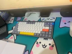 ����������. ����