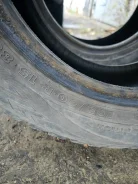Nordman 2. ������, ����������, �/�, ����� 50 % ����