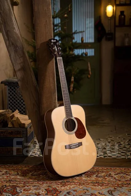 ������ ������������. ����